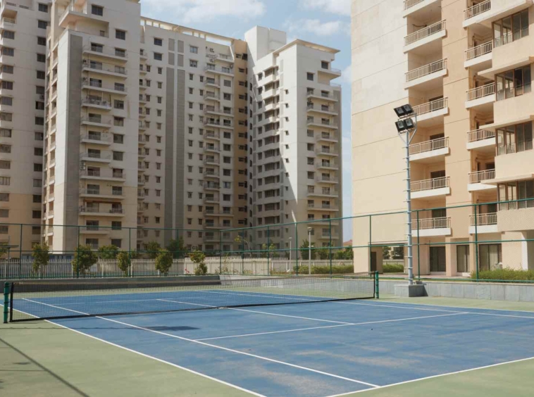 waterlilyTennis-Court