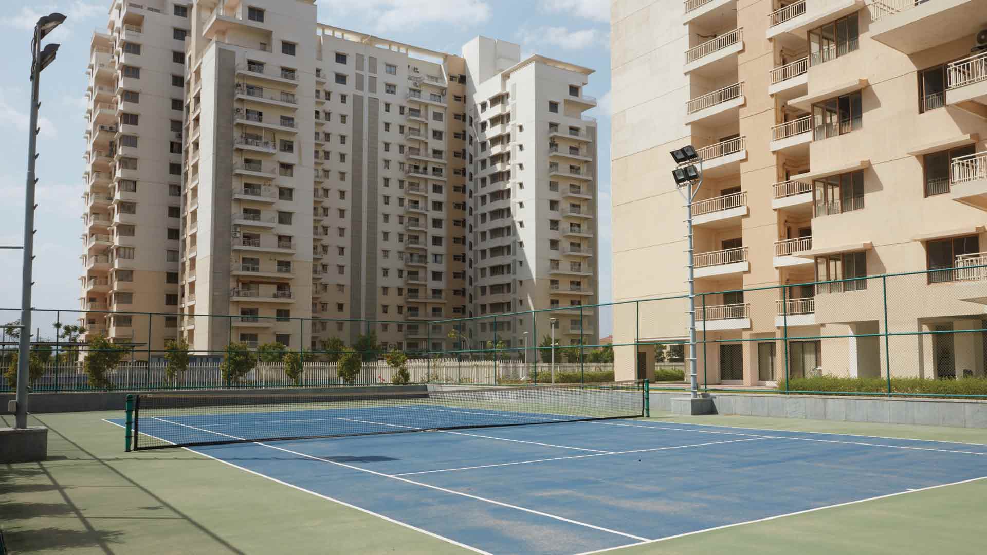 waterlilyTennis-Court