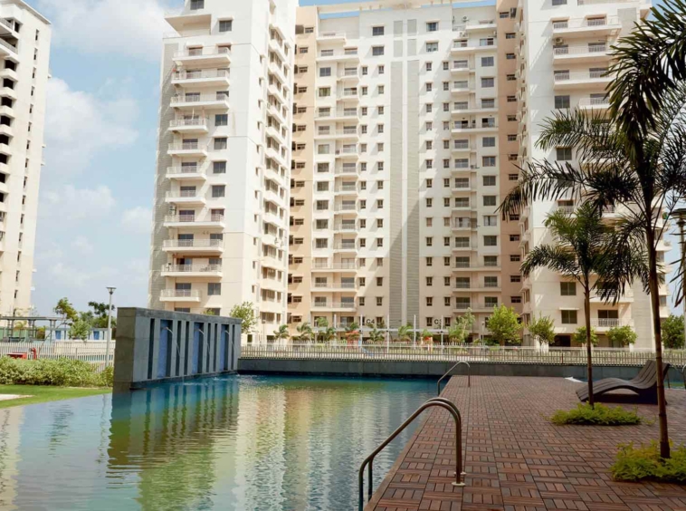 la marina city address Swimming-Pool