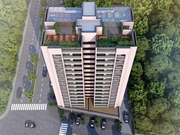 Vivaan Solitaire